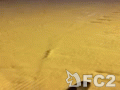 動画:IMG_4325.mp4