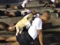 Want Play.mp4 Want Play.mp4